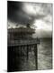 Premium Photographic Print