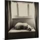 Premium Photographic Print
