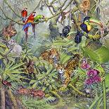 Jungle-Tim Knepp-Framed Premier Image Canvas