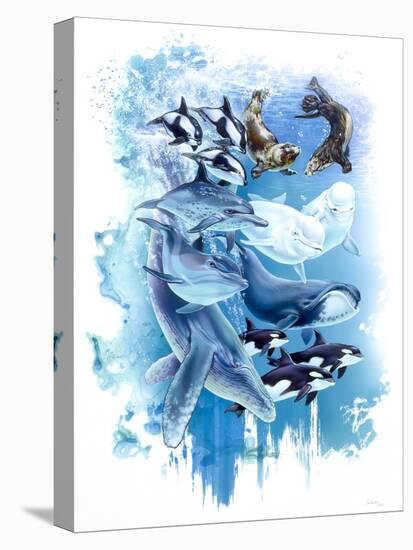 Stretched Canvas Print, , large