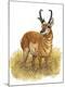 Premium Giclee Print