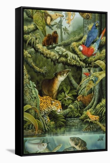 Stretched Canvas Print, , large
