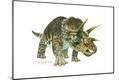 Giclee Print