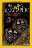 Cover of the October, 2000 National Geographic Magazine-Tim Laman-Premier Image Canvas