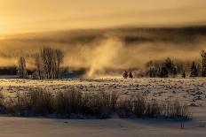 Mist rises from the Snake River on a cold morning, Wyoming-Tim Laman-Photographic Print