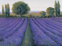 Lavender Field II-null-Art Print