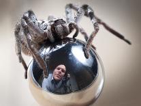 Self-Portrait with Spider-Tim Millar-Premier Image Canvas