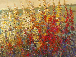 Field of Spring Flowers I by Tim O'toole