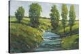 Stretched Canvas Print