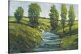 Stretched Canvas Print