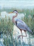 Marsh Heron II-Tim O'toole-Art Print