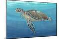 Premium Giclee Print