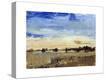 Stretched Canvas Print