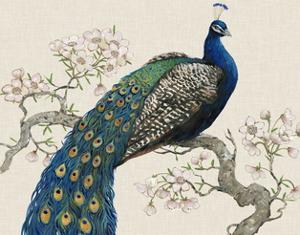 Peacock Wall Art Prints Paintings Posters Art Com