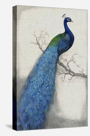 Animals Canvas Prints: Paintings & Wall Art Animals Canvas Prints: Paintings & Wall Art