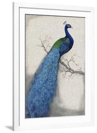 画材 Peacockesque Peacock Sketch BIG SIZES Reusable Mylar Stencil or Self