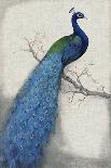 Peacock Blue I-Tim O'toole-Art Print