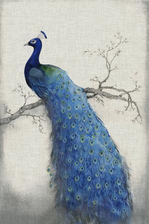 Peacock Feathers In Blue Vase Canv - Canvas Artwork
