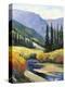Stretched Canvas Print