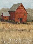 White Barn View I-Tim O'toole-Stretched Canvas