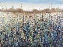 Shoreline Flowers II-Tim O'toole-Framed Giclee Print