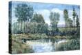 Stretched Canvas Print