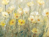 Spring Time Blooms II-Tim O'toole-Giclee Print