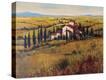 Stretched Canvas Print