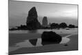Photographic Print