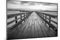 Premium Photographic Print
