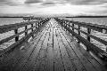 Premium Photographic Print