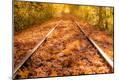 Photographic Print