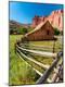 Photographic Print