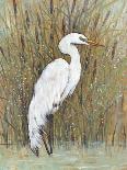 White Egret II-Tim OToole-Art Print