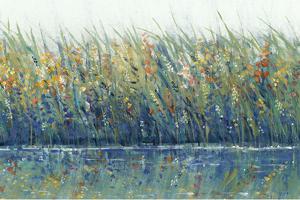 Wildflower Reflection I by Tim OToole