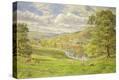Stretched Canvas Print