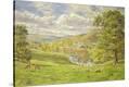 Stretched Canvas Print