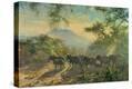 Stretched Canvas Print