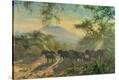 Stretched Canvas Print