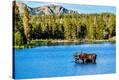 Stretched Canvas Print