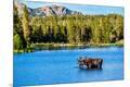Photographic Print
