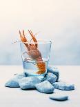 Freshwater Crayfish in a Glass of Water-Tim Thiel-Mounted Photographic Print