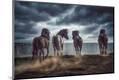Premium Giclee Print
