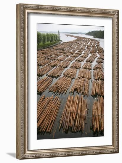 Timber Floating on a River-Bjorn Svensson-Framed Photographic Print