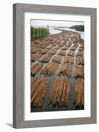 Timber Floating on a River-Bjorn Svensson-Framed Photographic Print