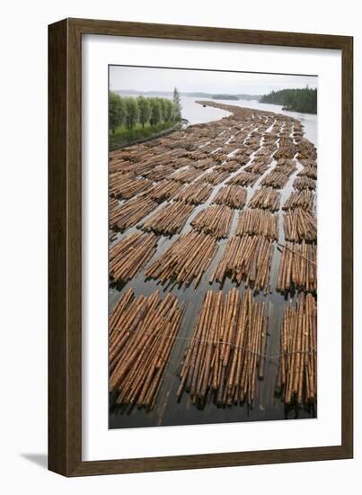 Timber Floating on a River-Bjorn Svensson-Framed Photographic Print