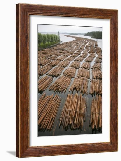 Timber Floating on a River-Bjorn Svensson-Framed Photographic Print