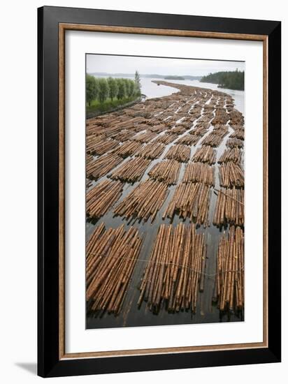 Timber Floating on a River-Bjorn Svensson-Framed Photographic Print