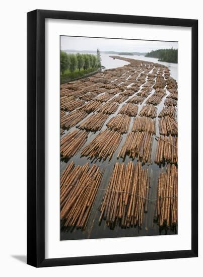 Timber Floating on a River-Bjorn Svensson-Framed Photographic Print