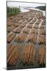 Timber Floating on a River-Bjorn Svensson-Mounted Photographic Print